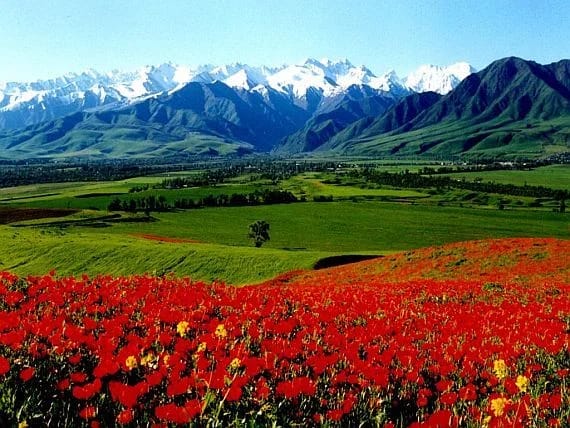 Fergana Valley: The Hidden Gem Tourists Skip (And Why They Shouldn't)